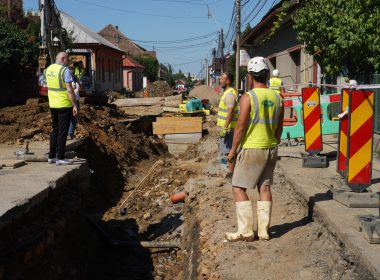 constructorii