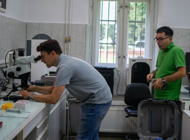 CCEBA
