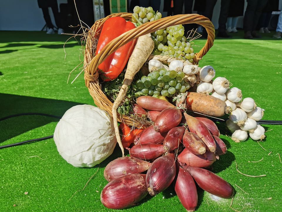 Festivalul Cepei